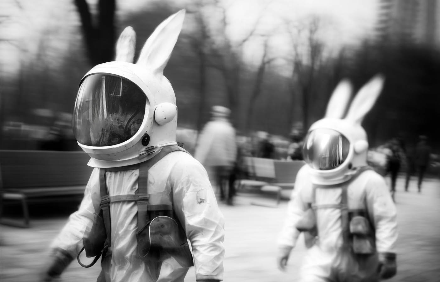 Арт-платформа Elephant in the Louvre